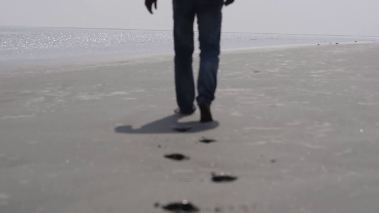 Man walking on the sea Beach. No copyright stock footage. Royalty free stock footage. Copyright free