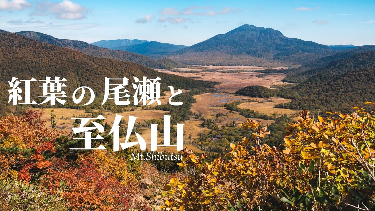 【紅葉登山】尾瀬ヶ原と至仏山を日帰りで満喫してきました