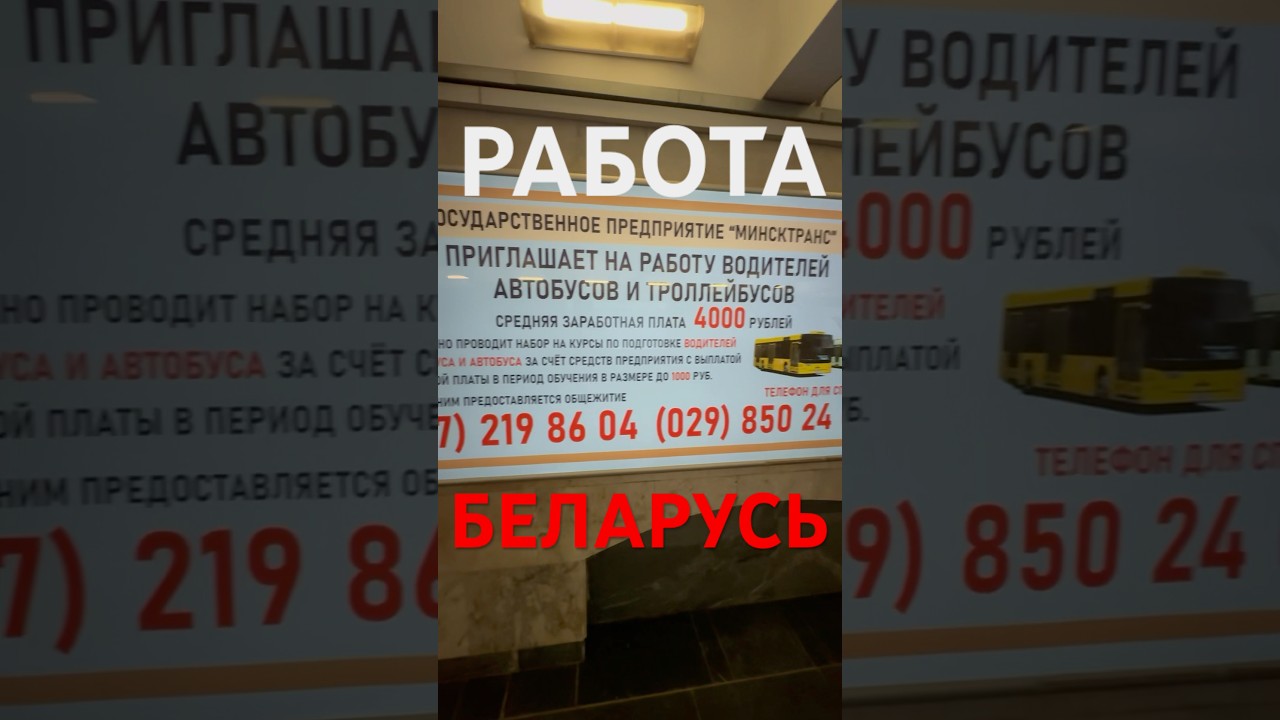 Работа в Минске с крупной зарплатой 4000 BYN (120000 RUB) #работа #беларусь