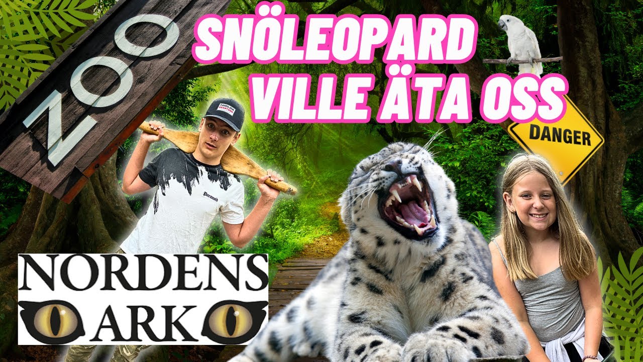 HELDAG På NORDENS ARK ZOO - Starkare Än En TIGER VLOGG