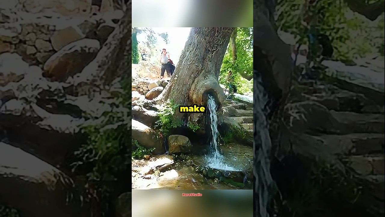 Редкие фотографии, которые повергнут вас в шок 😱
