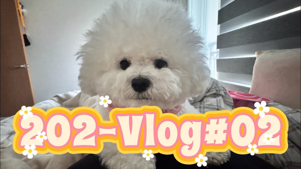 202-VLog / 2번째여행 / 속초애견동반호텔 / 마리비스타호텔 / 카시아호텔 / 대포항