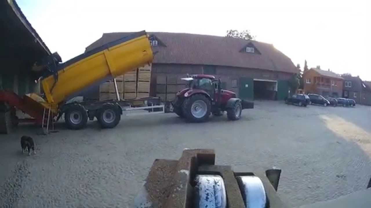 Kartoffeln sortieren und einlagern