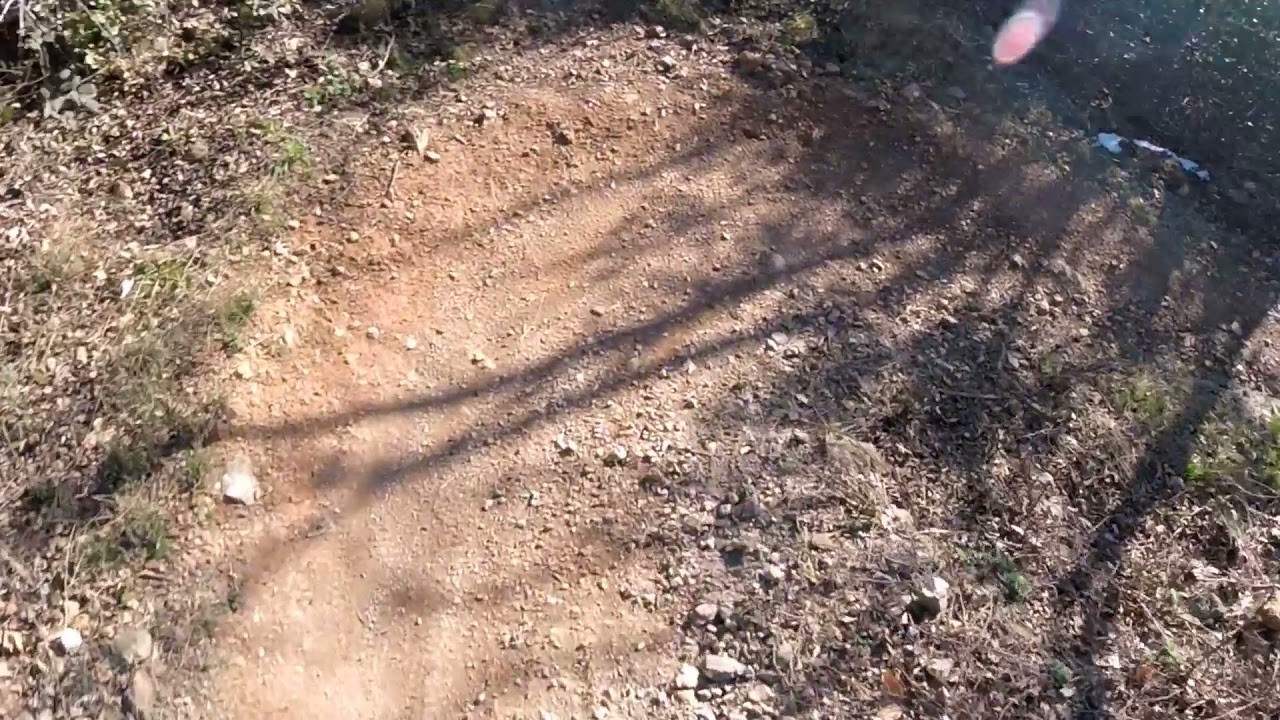 mtb savona - trail gustin