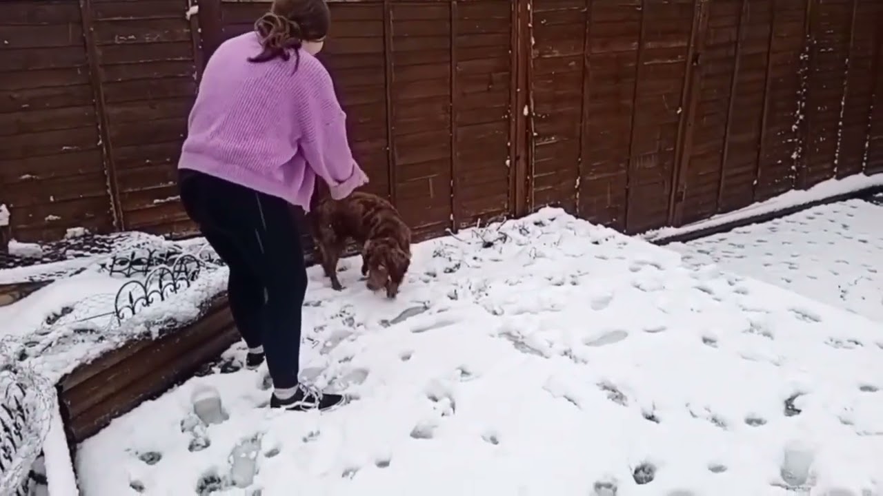 Spend the day with Tess in the snow 