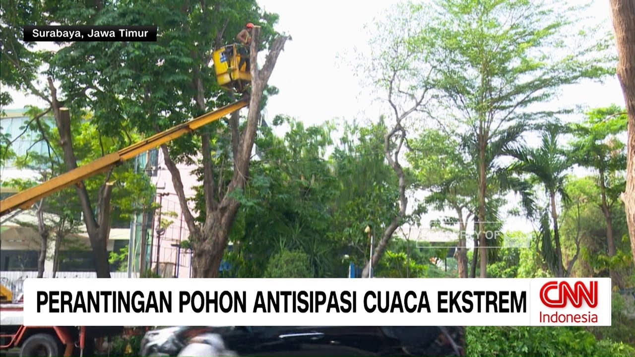Perantingan Pohon Antisipasi Cuaca Ekstrem