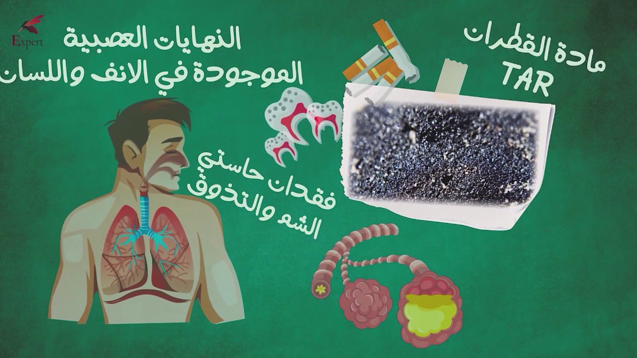 اضرار التدخين على الصحة #اكسبرت #علم_يستحق_الحياة