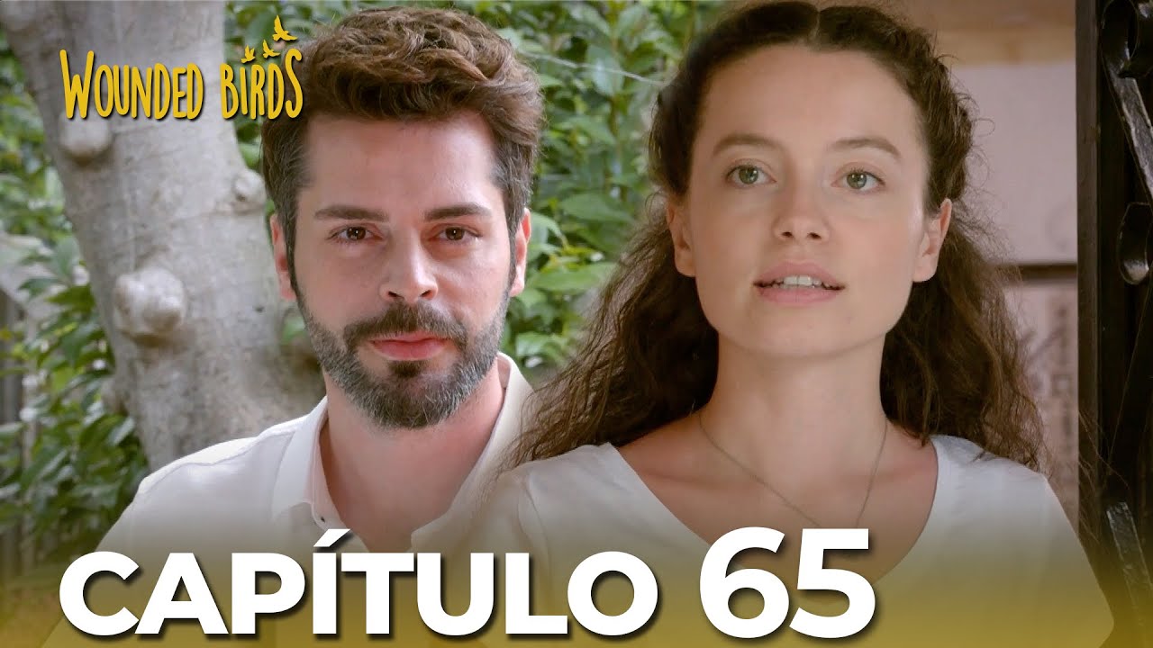 Omer Sueños Robados |  Capítulo 65