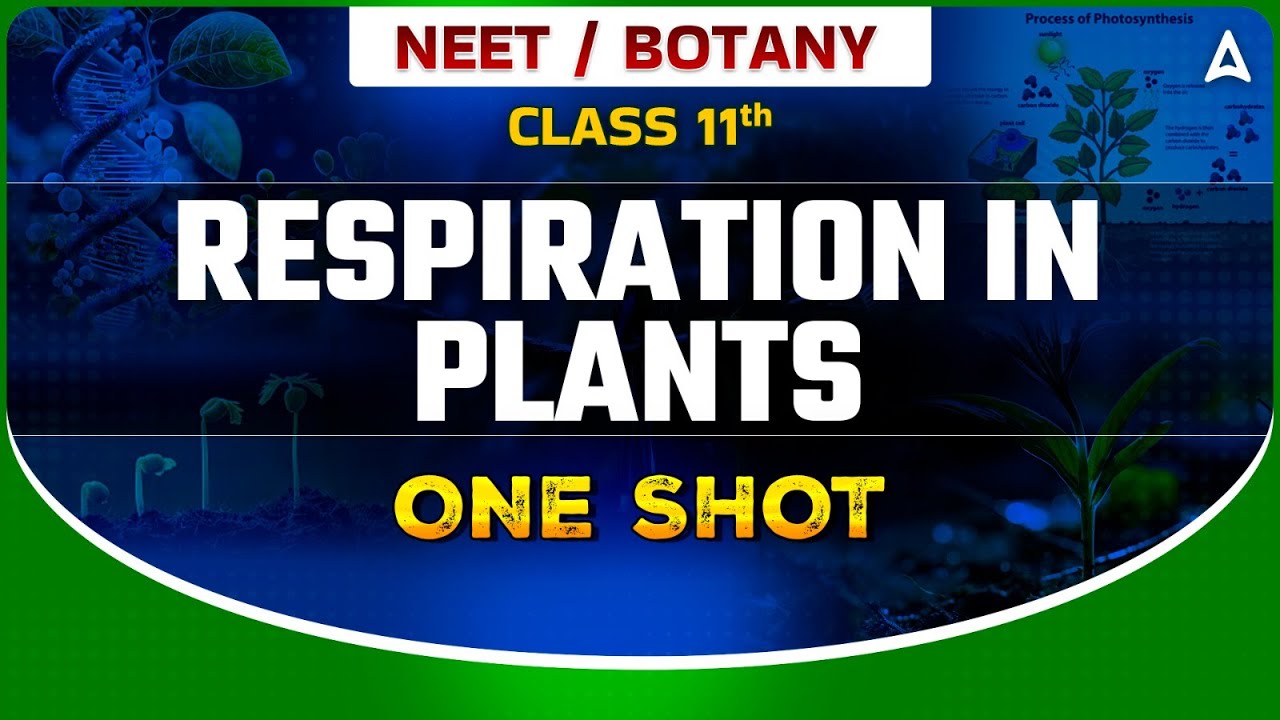 RESPIRATION IN PLANTS CLASS 11 ONE SHOT | NEET 2024 | NCERT LEVEL UP | BOTANY BY SANKALP BHARAT