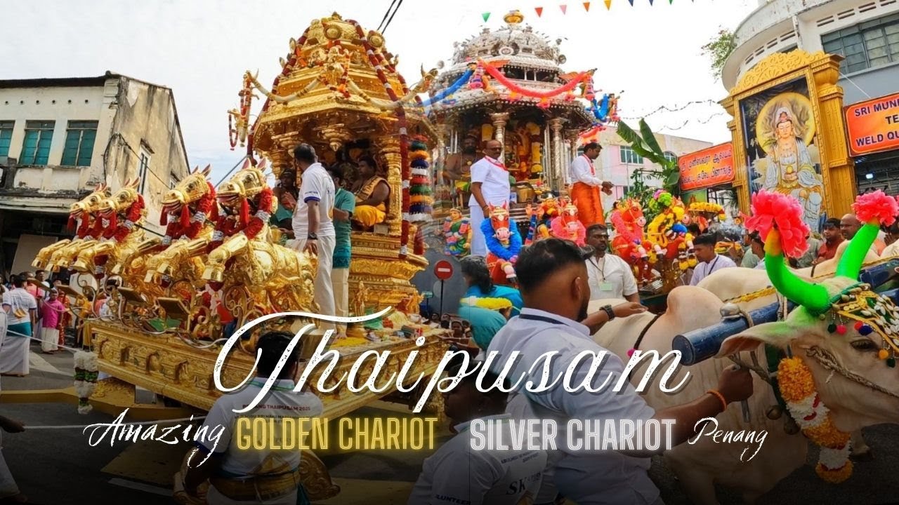 Experience Thaipusam in Penang 2025 | Penang Festival | Golden Chariot | Silver Chariot | Kavadi