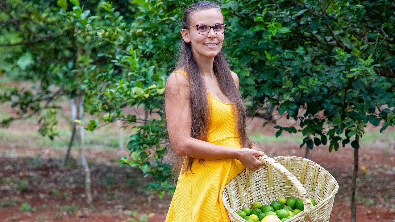 Des citrons et pourquoi il n'y a pas eu de vidéo dimanche dernier ?