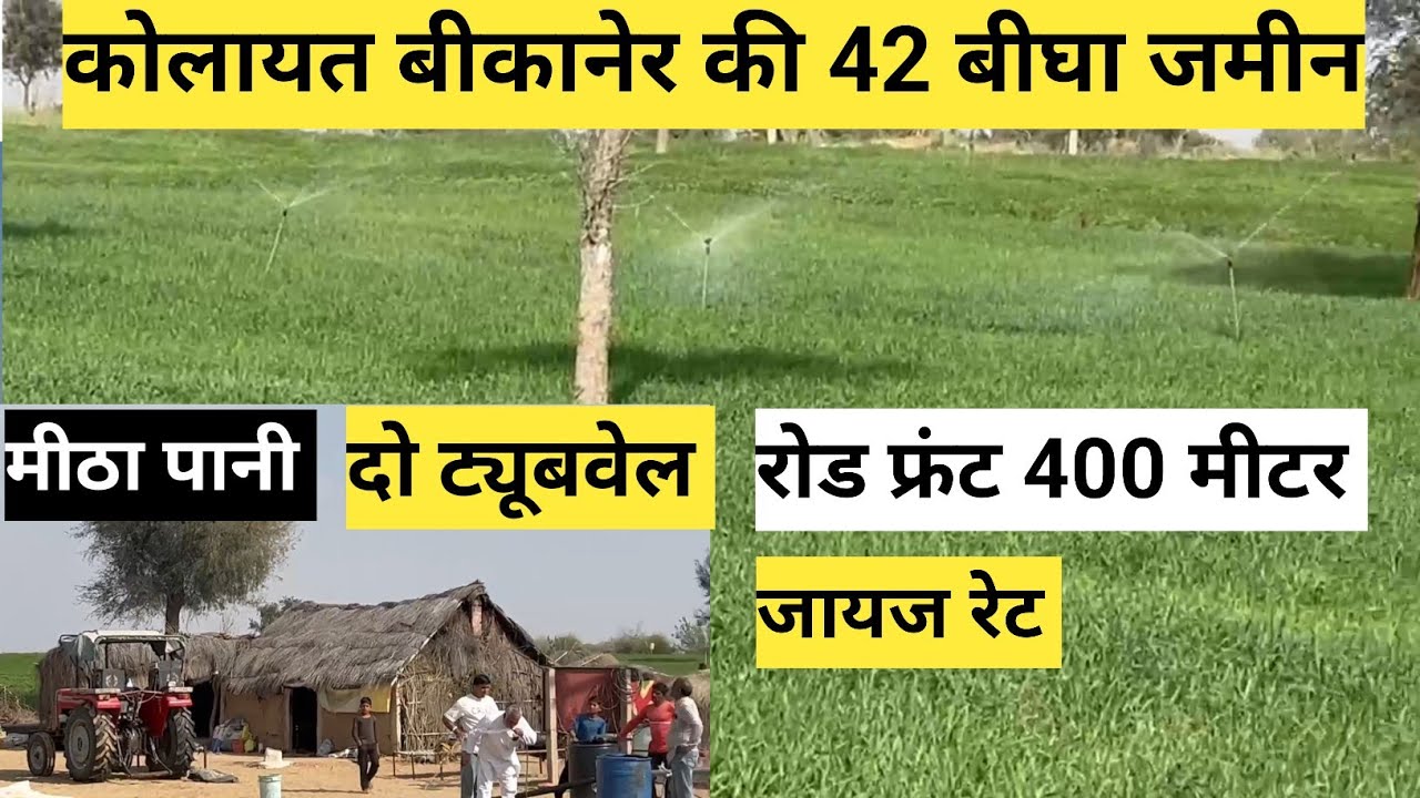 जिला बीकानेर तहसील कोलायत की 42 बीघा जमीन बिकाऊ दो ट्यूबवेल मीठा पानी 400 मी रोड फ्रंट राजस्थान।