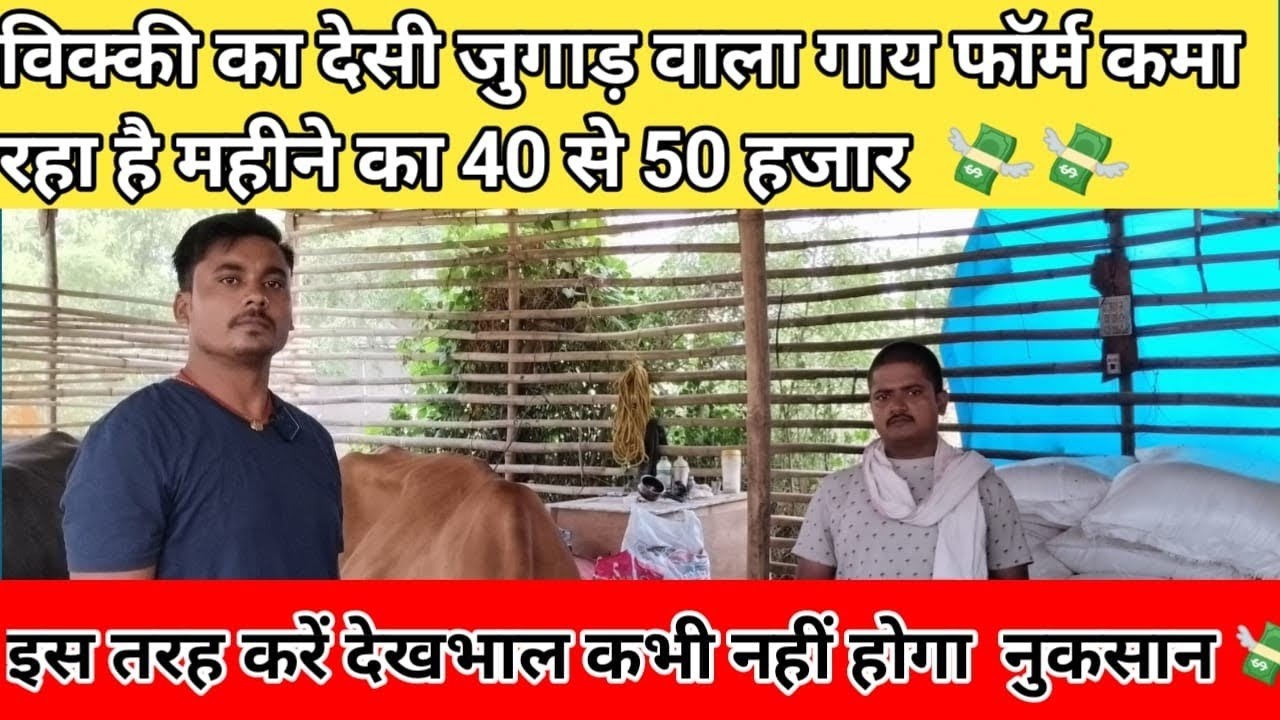 विक्की का देसी जुगाड़ वाला गाय फार्म कमा रहा है महीने का 40 से 50000 हजार 🐄🐄🙏🙏