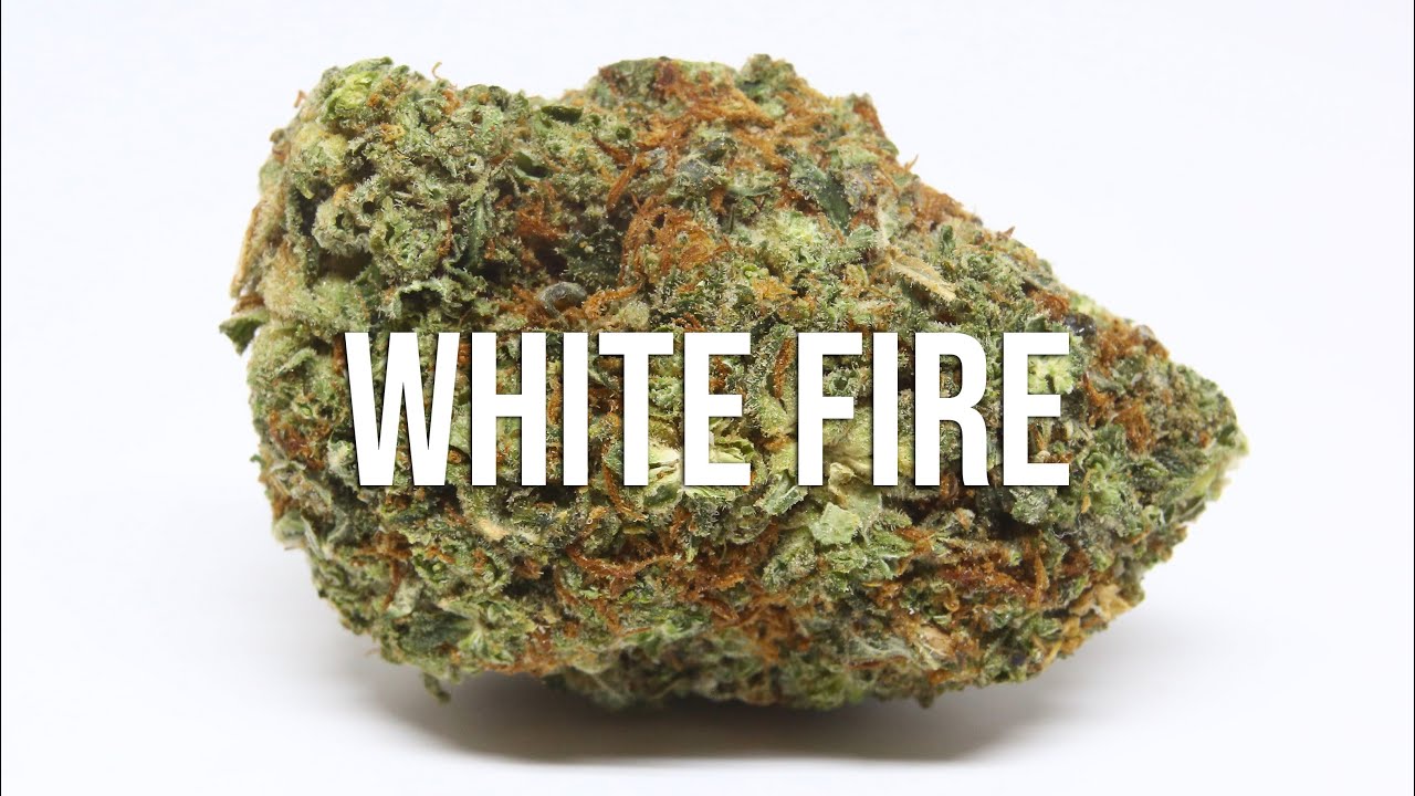 White Fire strain review (WiFi OG) - a great cerebral high