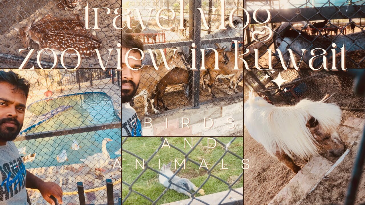 kuwait mini zoo amazing 🤩 view |ah hafeeth |travel vlog |kuwait city 🏙
