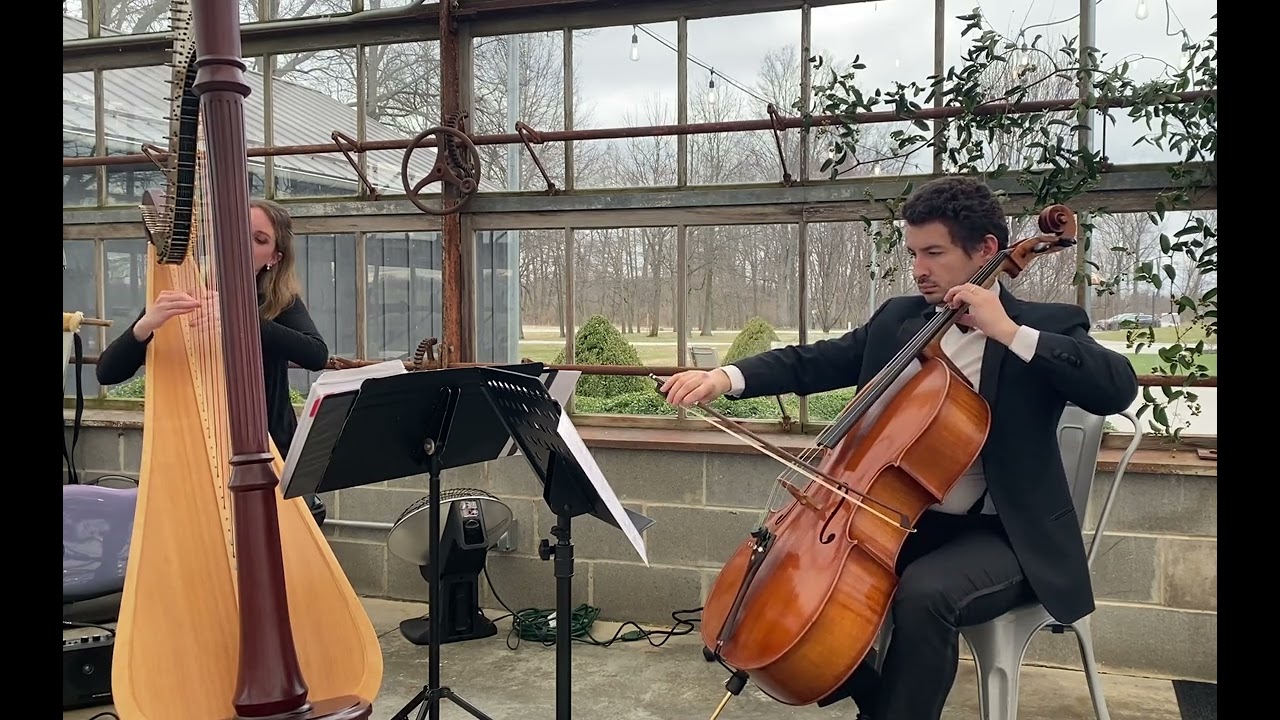 Prelude from Final Fantasy - cello and harp ~ Tiffany Jones, harpist