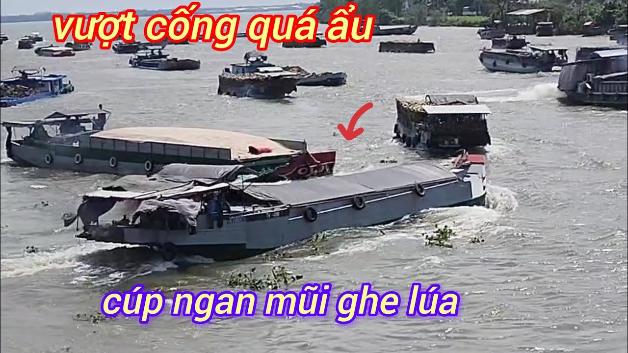 Thót Tim Nhìn Thấy Cảnh Này Ghe Tàu Tranh Nhau Vượt Cống Ngăn Mặn Trà Vinh 