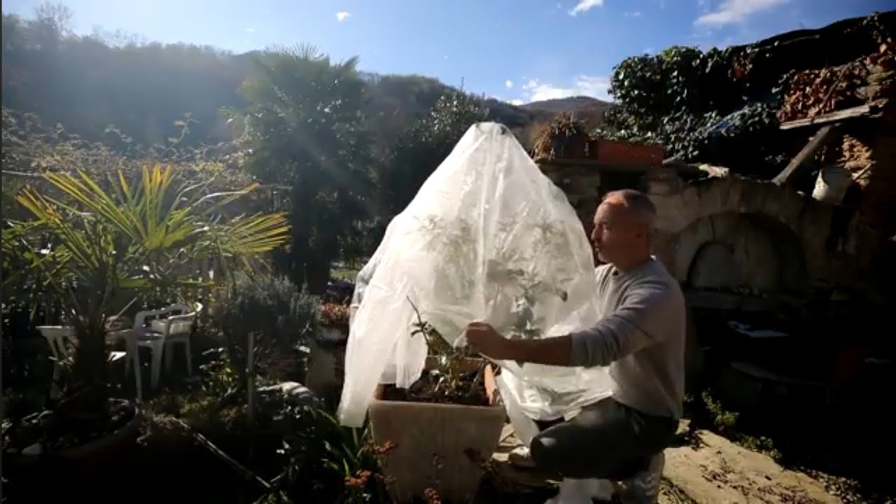 Gelo e Neve 2 - situazioni e materiali