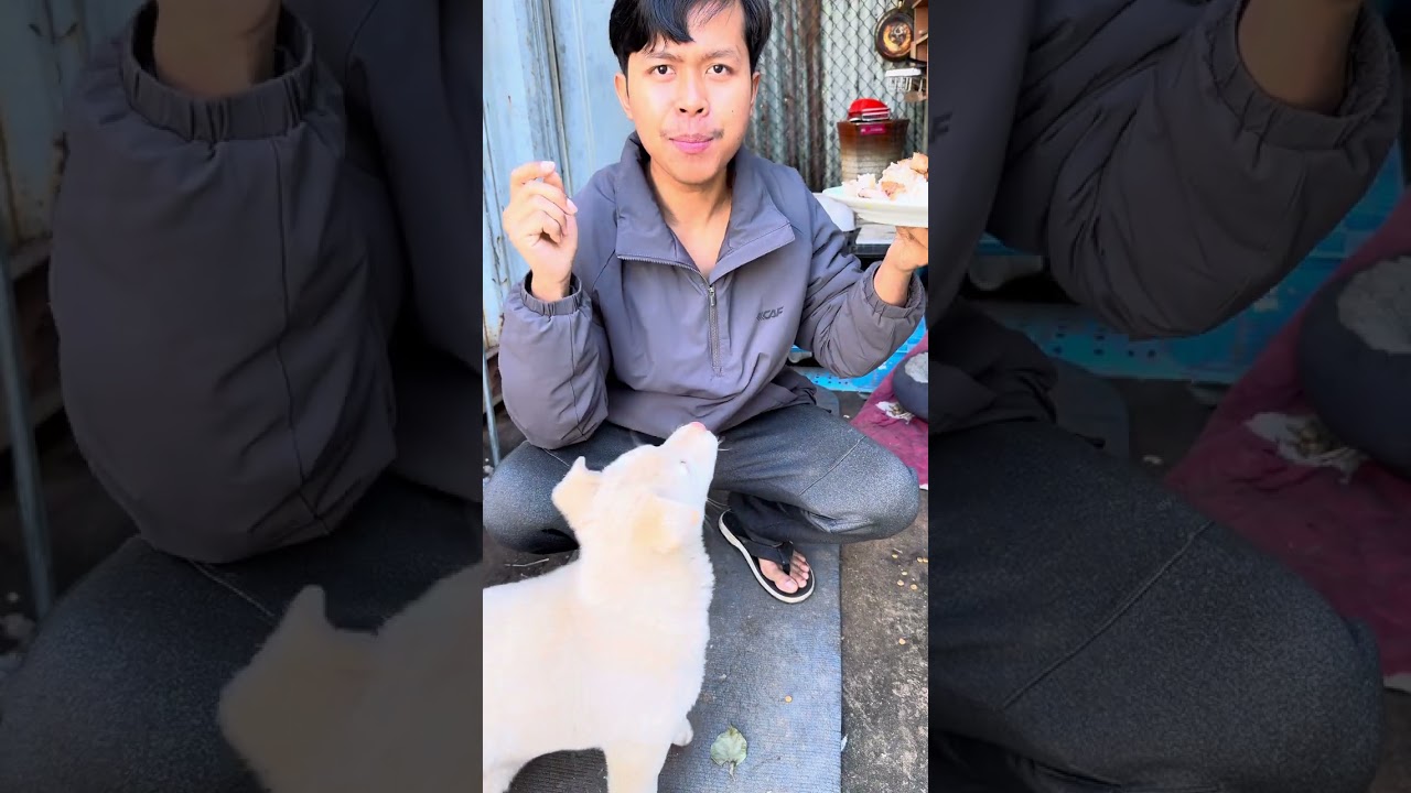 ដាក់បាស់ ហៅអាឡុងសុីបាយ.!😂ពូចិត្រFunny 