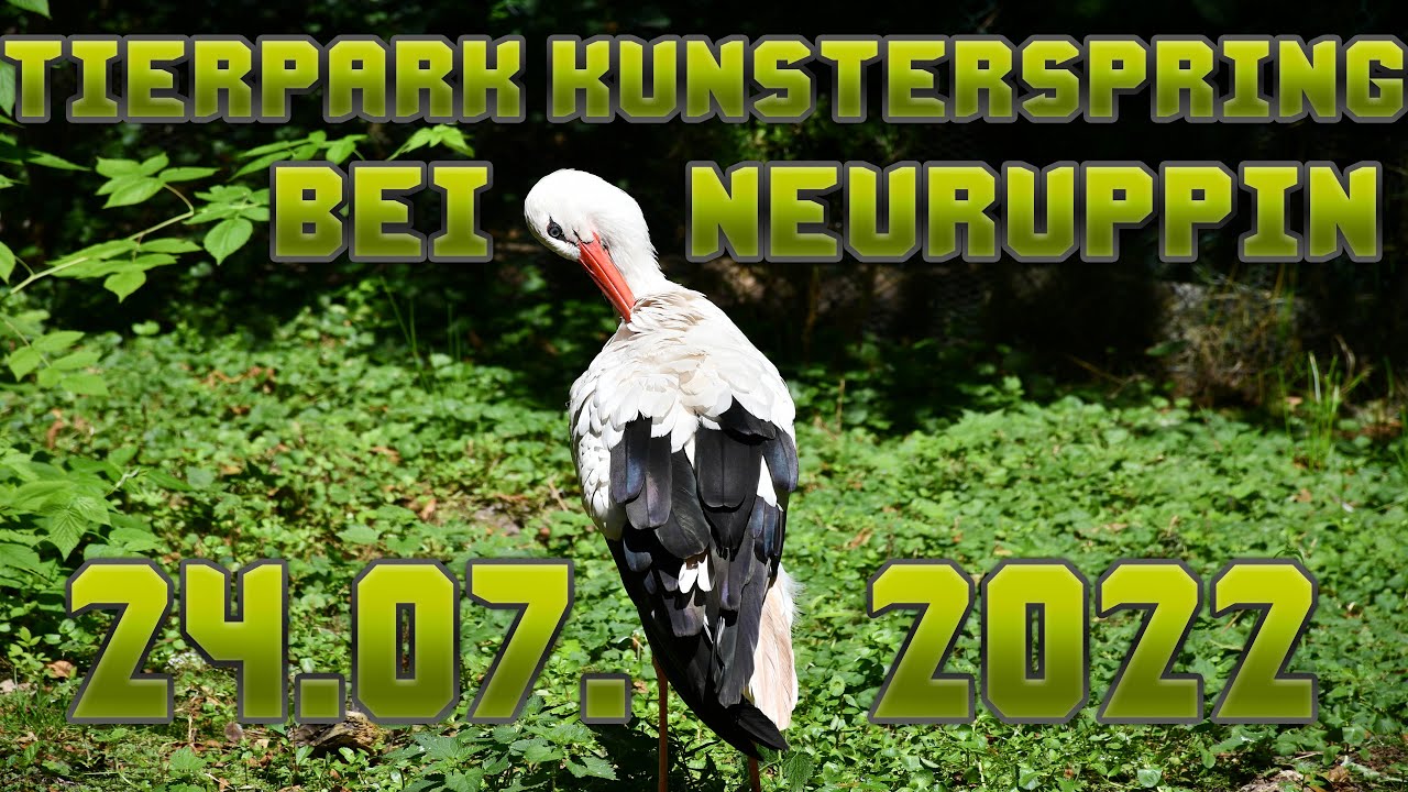 Rundgang Tierpark Kunsterspring bei Neuruppin - 24.07.2022 - 4K ᵁᴴᴰ 30ᶠᵖˢ ✅