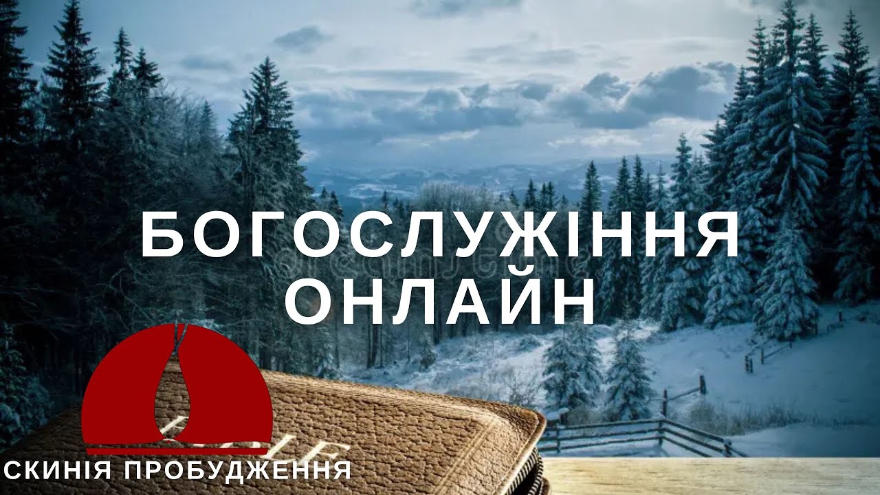 СКИНІЯ ПРОБУДЖЕННЯ // 18.01.2026 М.РІВНЕ