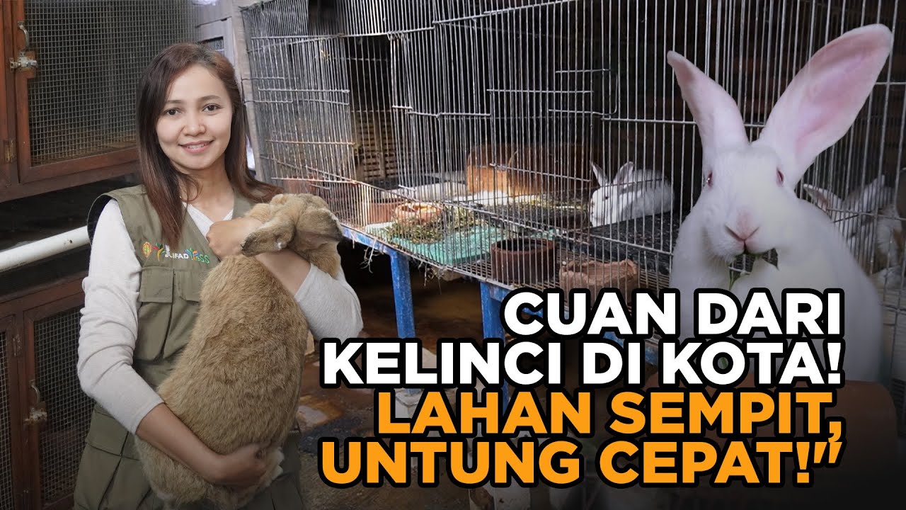 Young Ambassador Pertanian Ini Buktikan Ternak Kelinci Bisa Cuan di Tengah Kota!
