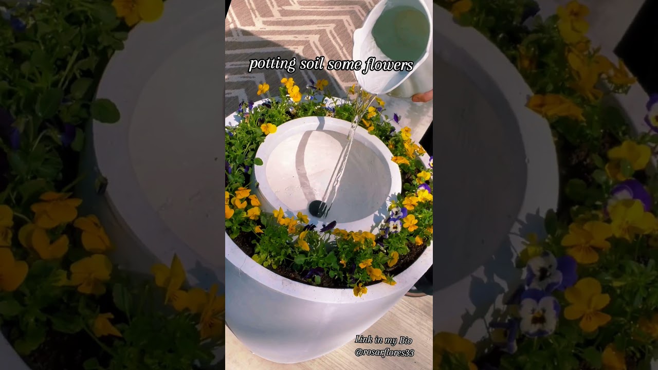 #SolarFountain #rosarflores33 #amazonfind #fountain #flower #gardentok #outdoordecor #gadendecor