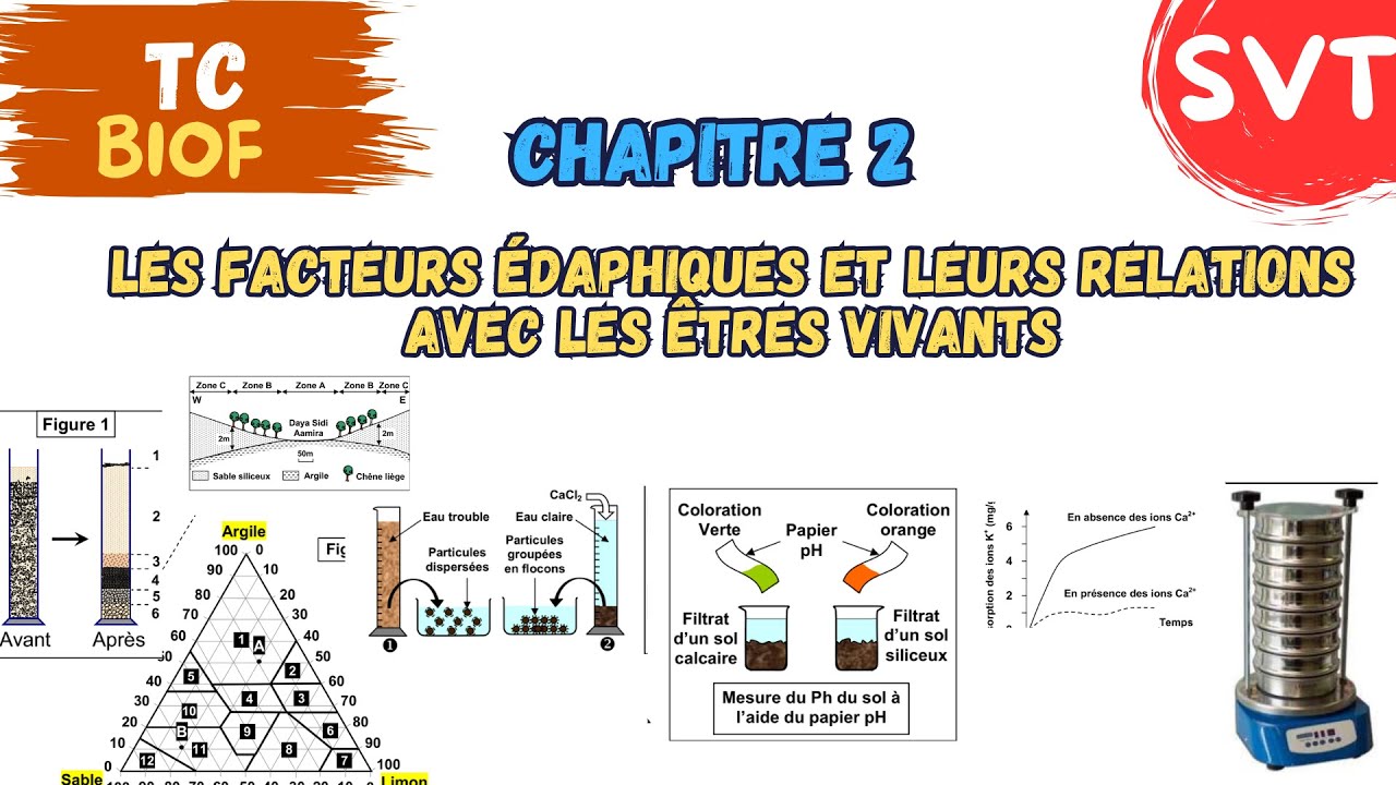 TC  Biof | SVT | Chapitre 2: Les facteurs &eacute;daphiques et leurs relations avec les &ecirc;tres vivants