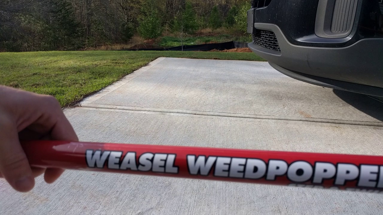 Weed removal tool with the Weasel Weedpopper by Garden Weasel