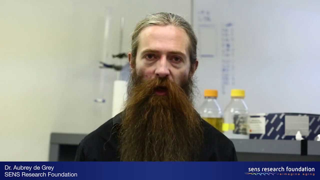 Mitochondrial Mutations in Aging - Dr. Aubrey de Grey