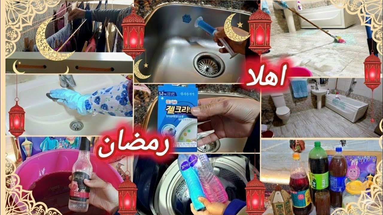 لا تعب ولا كسل 🧨 الشطارة في العروق  💪والروقان ملوش حدود