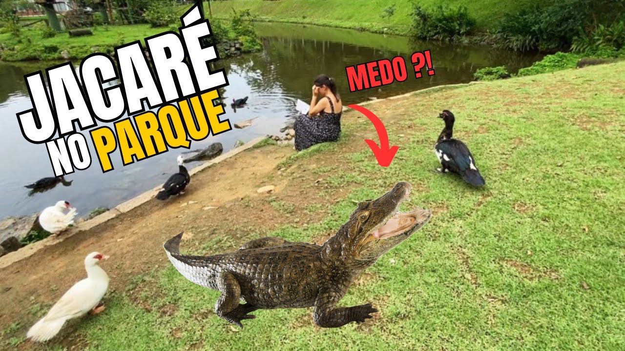 ZOOBOTÂNICO DE JOINVILLE - SC