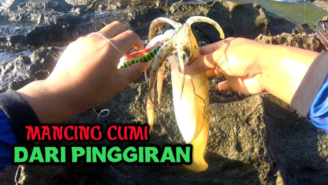 CARA MANCING CUMI DI PINGGIR PANTAI