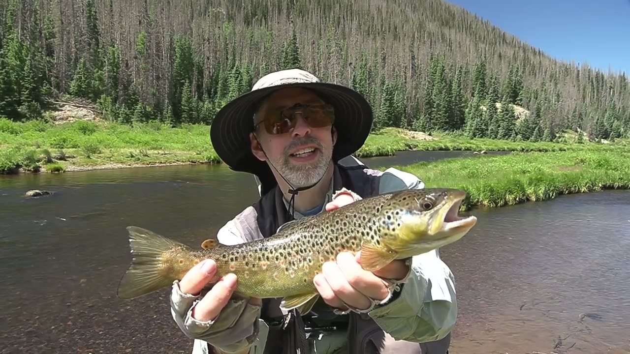 Ловля рыбы нахлыстом на реке Конехос в Колорадо