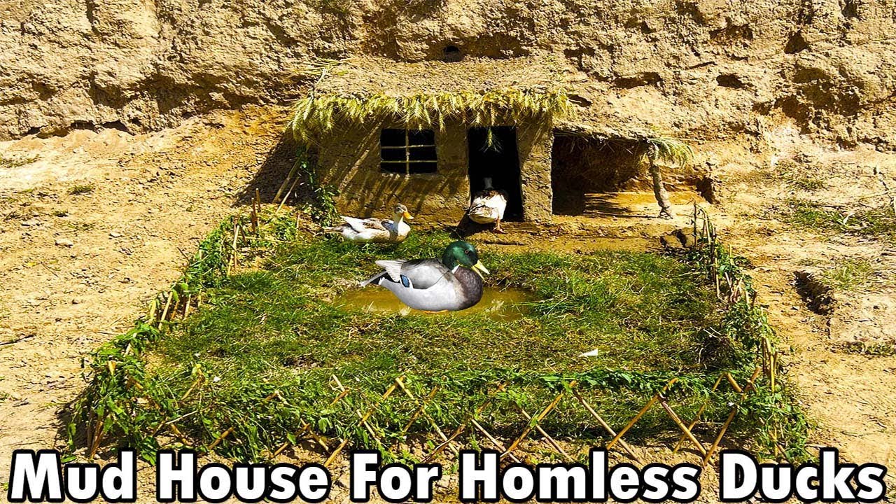 Mud House Construction In Jungle For Homeless Ducks | Mud House Making | Primitive Life Today