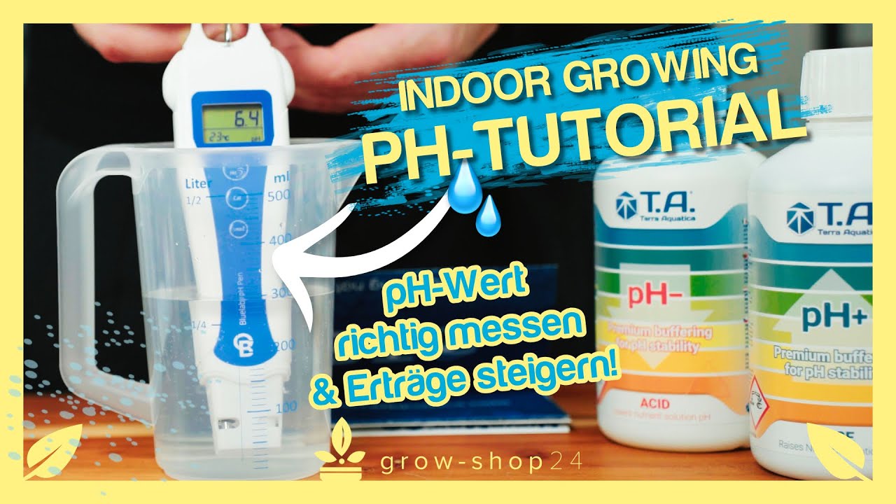 Grow Tutorial: pH-Wert verstehen und richtig messen!