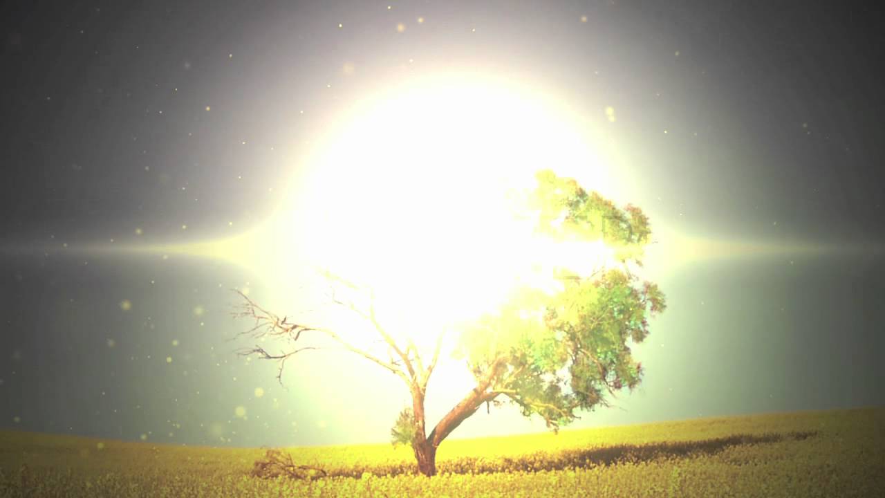 MercyMe - The Hurt & The Healer (Official Lyric Video)