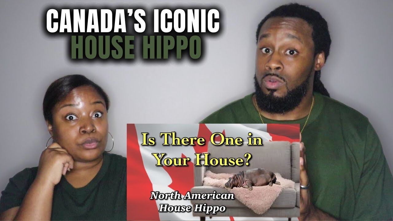 🇨🇦 American Couple Reacts to Canada’s Iconic House Hippo