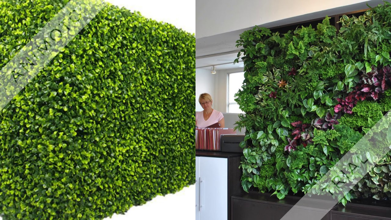Best Ever Artificial Plant Walls in Sydney