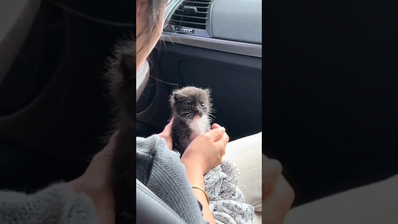 She is beyond disgusted 😂