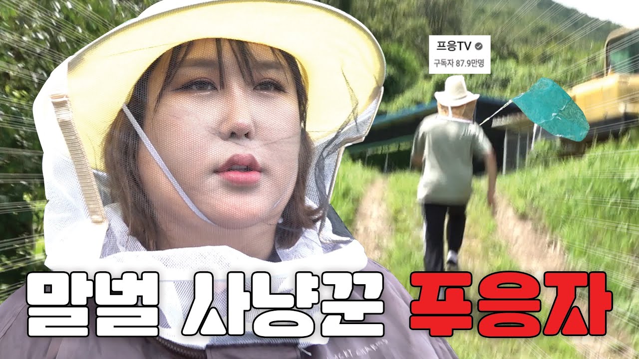 [ENG SUB] 저놈의 말벌이 우리 꿀벌을 해치려고… 풍자X프응 | [썸바디 헬풍미] | EP06