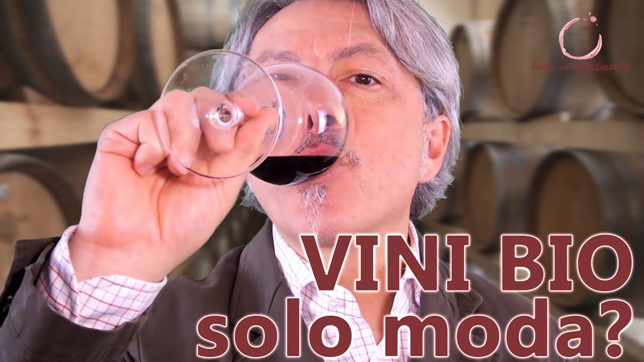 I VINI BIOLOGICI tra MODA, FREGATURA e REALTA'