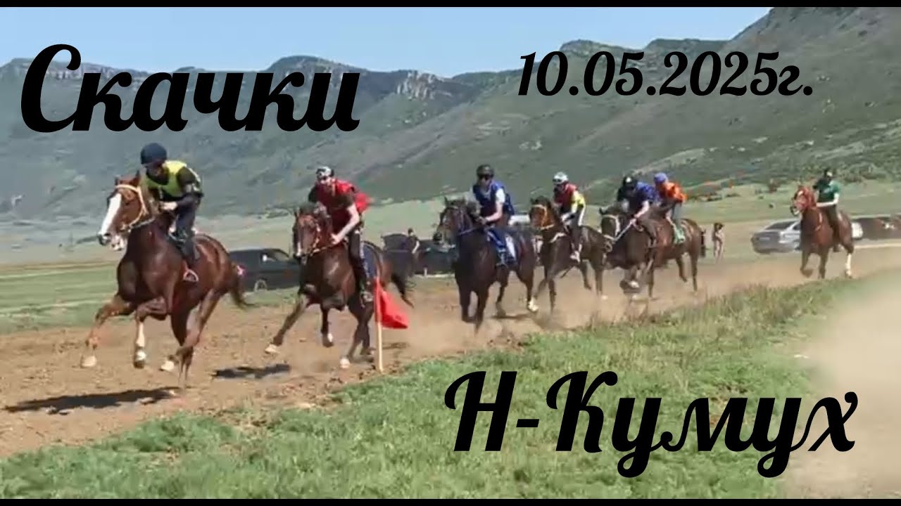 Скачки Новый Кумух