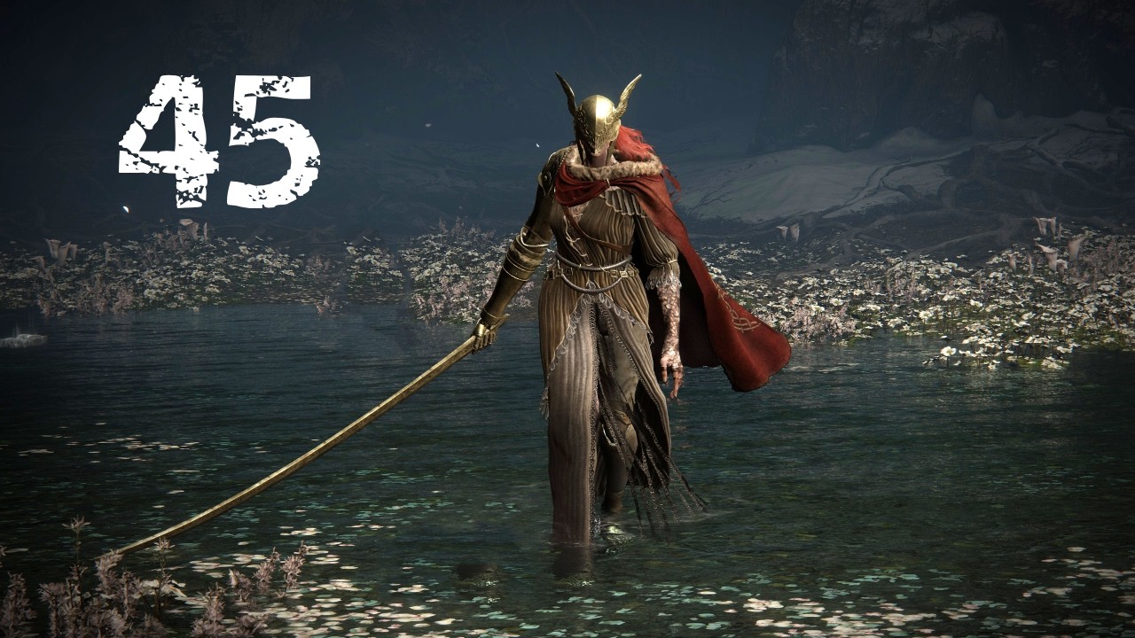 Beating Malenia NG+7 every day until I get a gf | Day 45