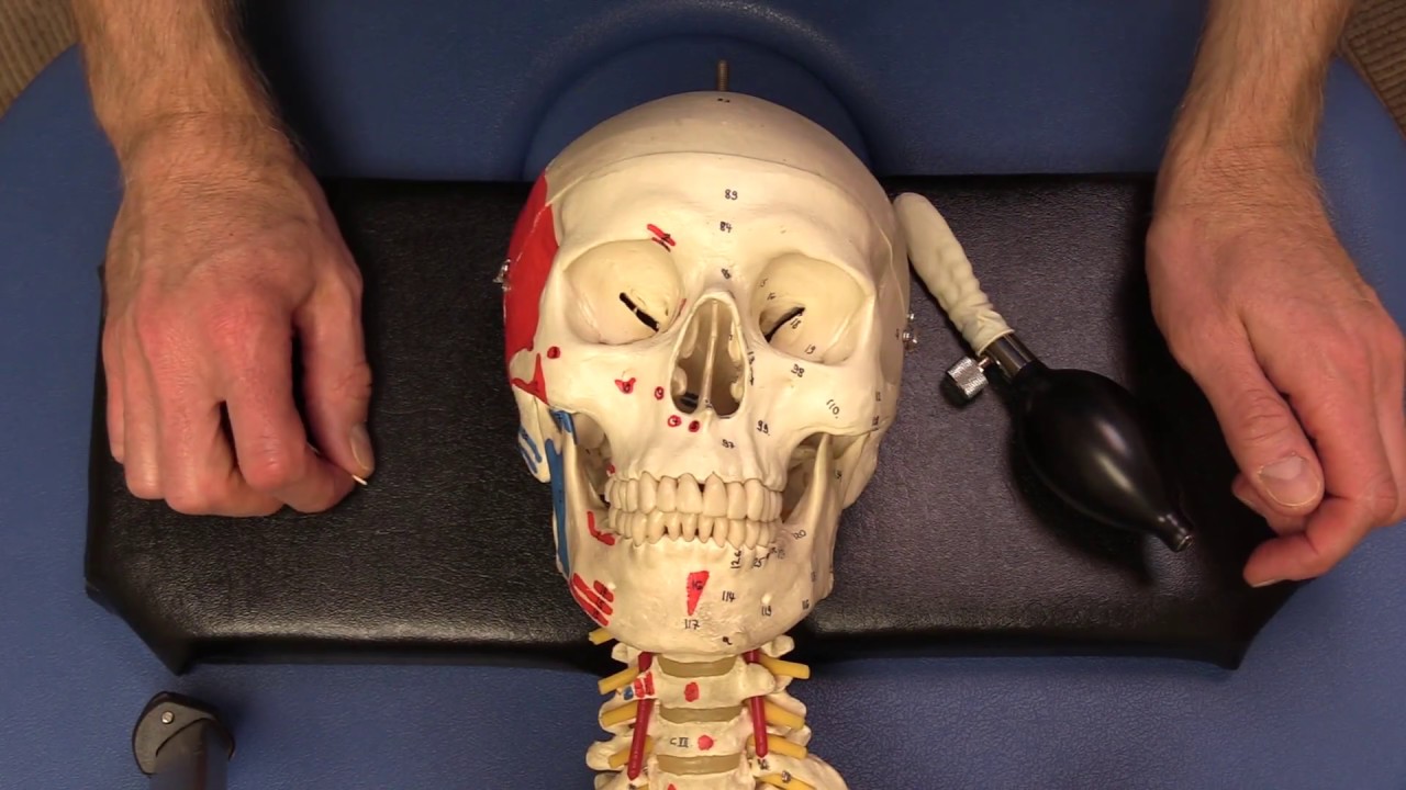 ABC Endonasal Cranial Correction&trade; Introduction