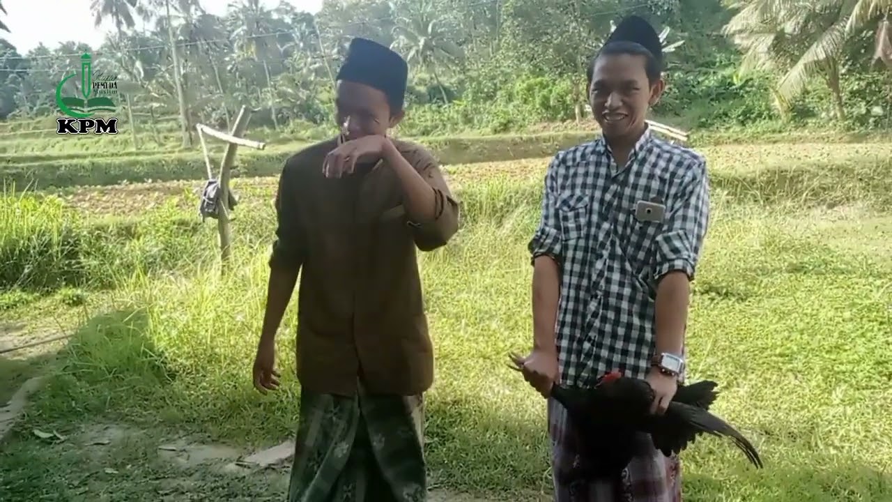 Tutorial cara menyembelih  ayam yang benar dan mudah || Kajian Pemuda Muslim ||Pemuda KPM