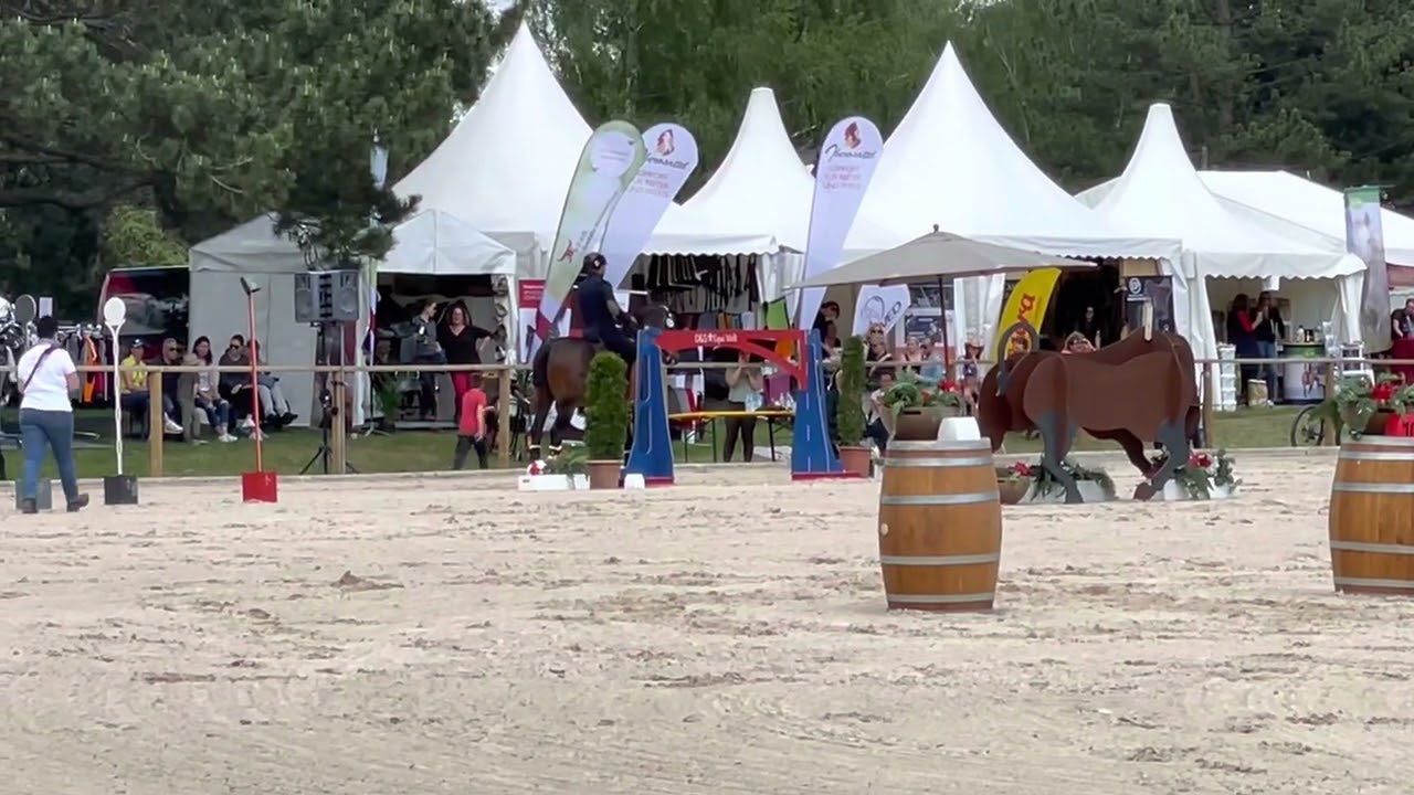 Working Equitation - Stiltrail - Mihai Maldea - Pferd International M&uuml;nchen 2022