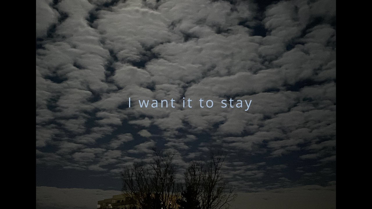 I Want It to Stay - znaxtop - (Lyric Video)