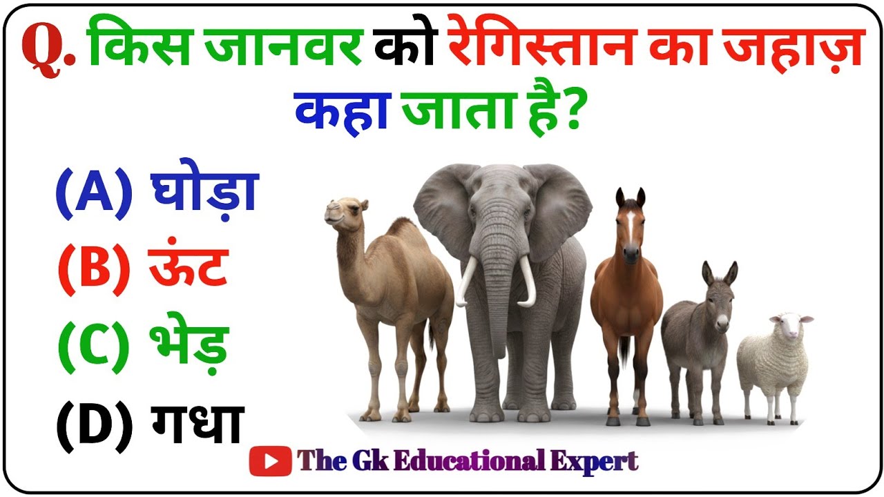 Today GK Questions in Hindi || Competitive Exams GK || Lucent GK 2025 || GK Quiz || GK Question 