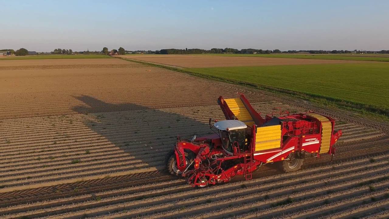 Aardappel rooien met Grimme 2 rijigen rooier